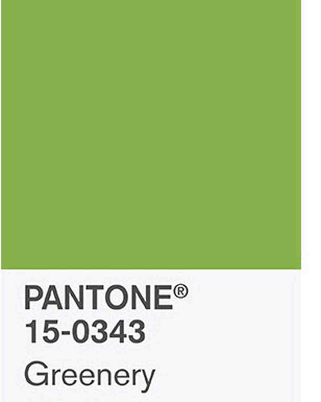 ‘Greenery’: el color del año - greenery