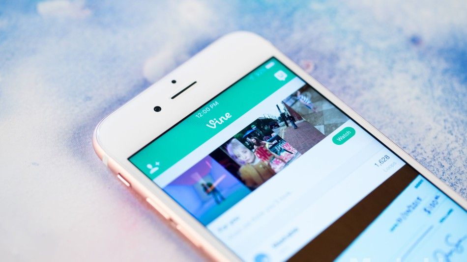 Vine no desaparecerá por completo