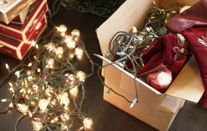 La historia del primer árbol de Navidad que llegó a México - luces-navideñas