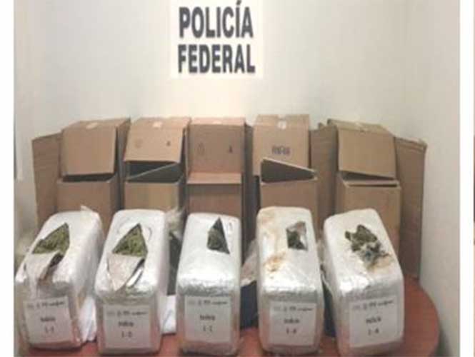 Hallan más de 50 kilos de mariguana en aeropuerto de Guadalajara - mariguana-aeropuerto-guadalajara
