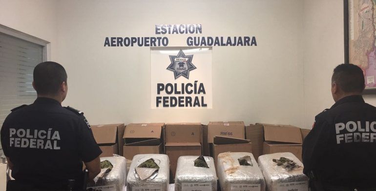 Hallan más de 50 kilos de mariguana en aeropuerto de Guadalajara