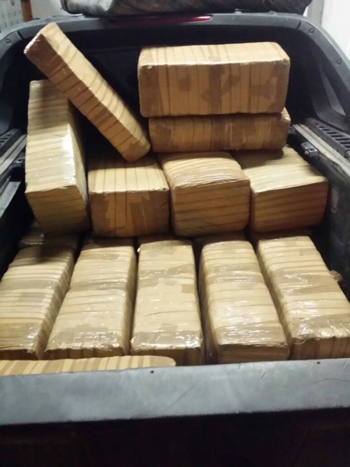 PF detiene a cinco personas con armamento y mariguana en Sonora - mariguana-pf