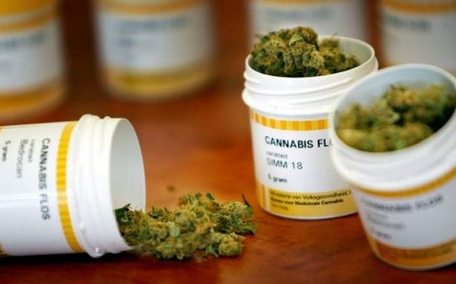 Advierten sobrerregulación en uso medicinal de la mariguana