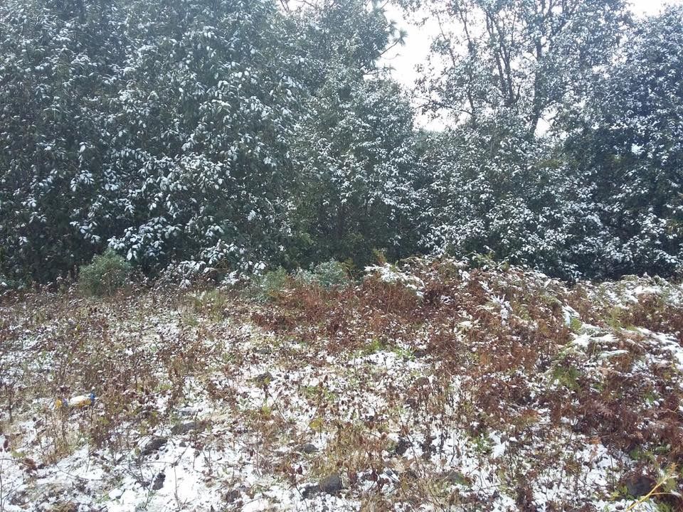 Nevadas afectan a Sinaloa, Durango y Chihuahua - nevada-sinaloa