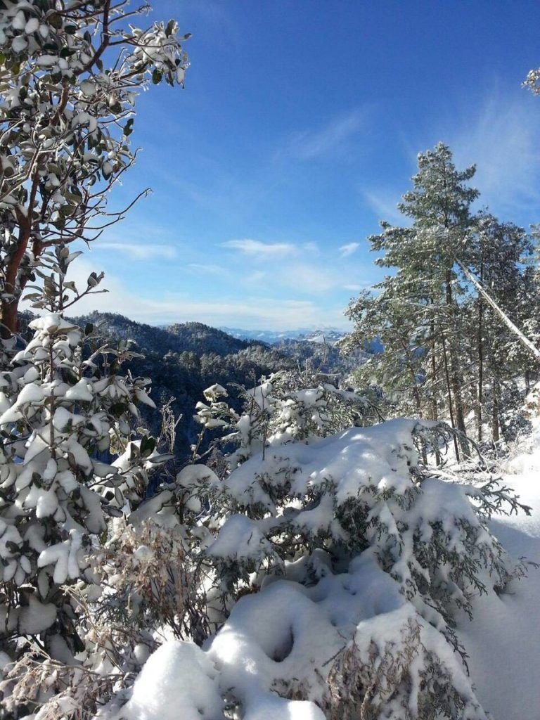 Reportan nevadas en Durango - nevadas-I-768x1024