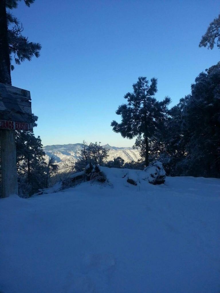 Reportan nevadas en Durango - nevadas-III-768x1024
