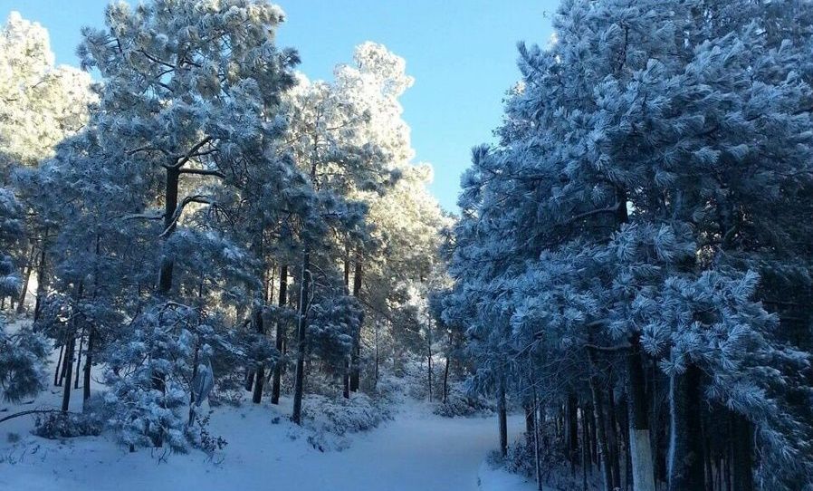 Reportan nevadas en Durango