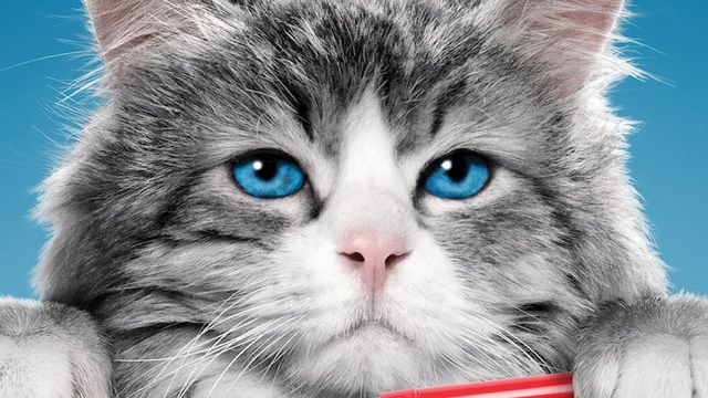 Las peores películas de 2016