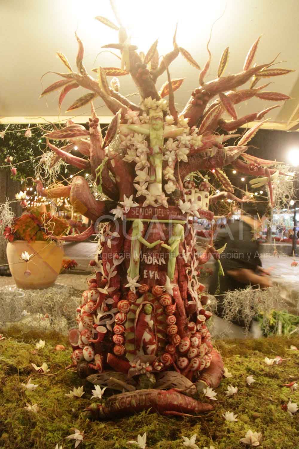 Galería: la Noche de Rábanos - noche-rabanos-20