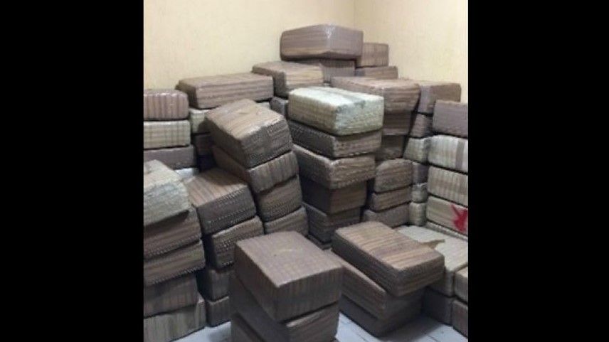 Decomisan casi dos toneladas de mariguana en Nuevo León