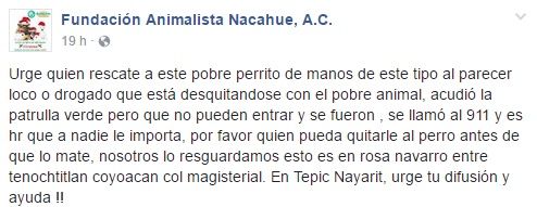 Video: hombre encierra a perro en un tinaco - perro-