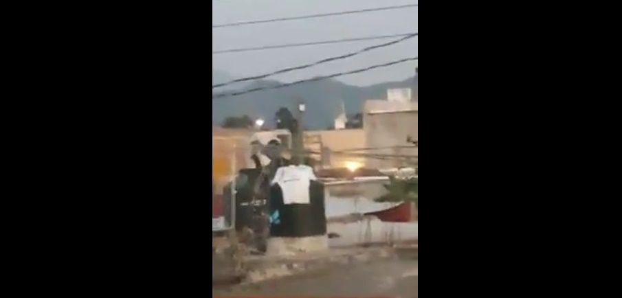 Video: hombre encierra a perro en un tinaco