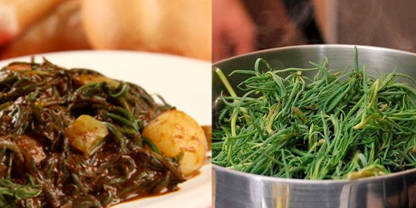 ¿Por qué se comen romeritos en Navidad? - romeritos-2