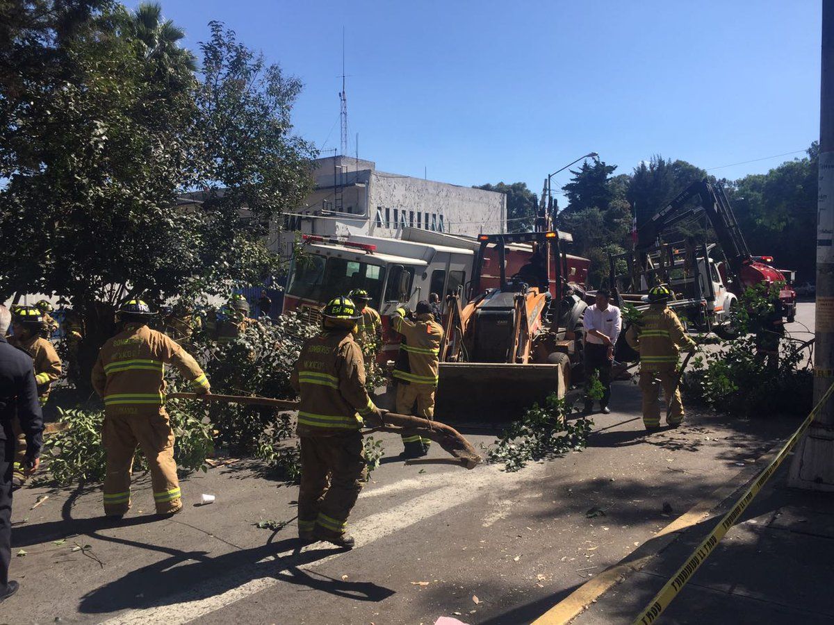 Caen en socavón revolvedora, grúa y camión de bomberos en Tlalpan - socavón