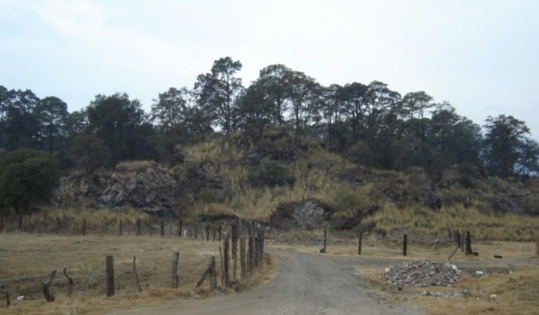 Encuentran muerta a mujer luego de festejar con desconocidos