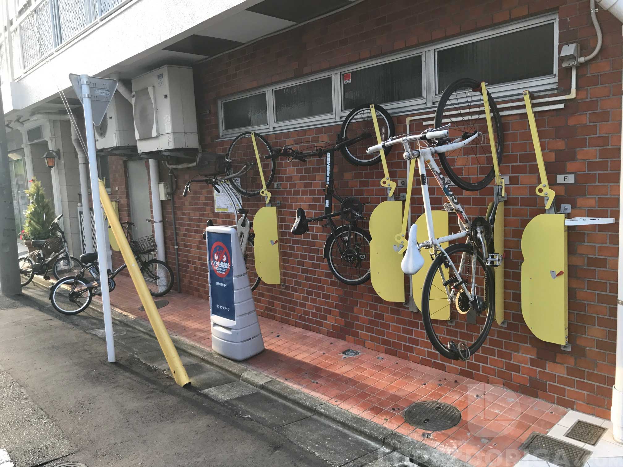 El frío de Japón no solamente es en el invierno - tokio2-1