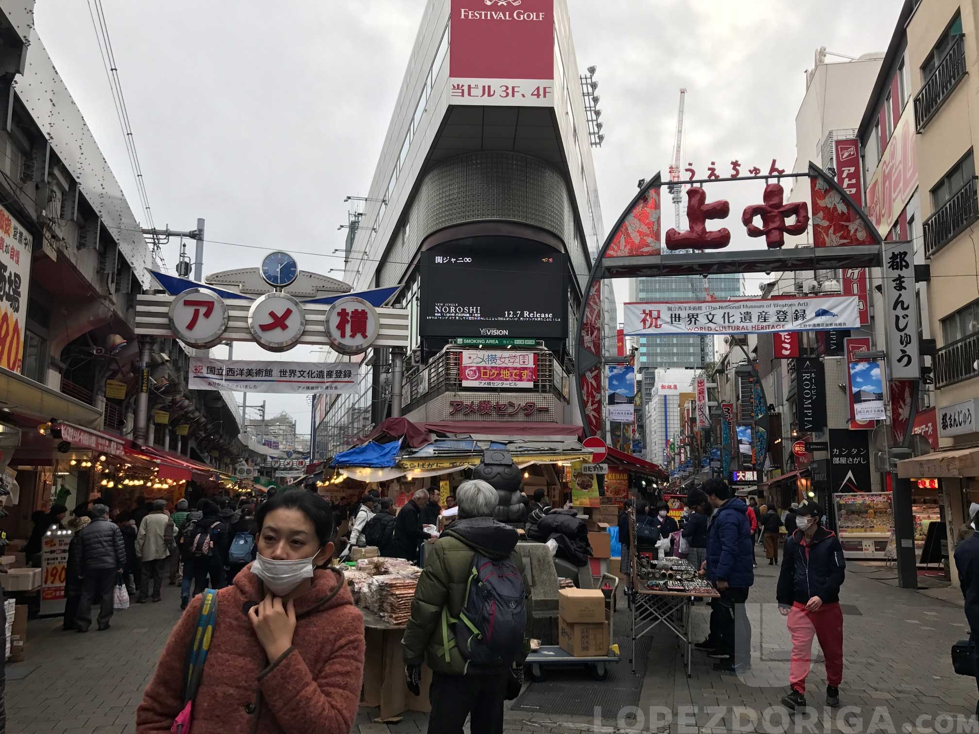 El frío de Japón no solamente es en el invierno - tokio3-1