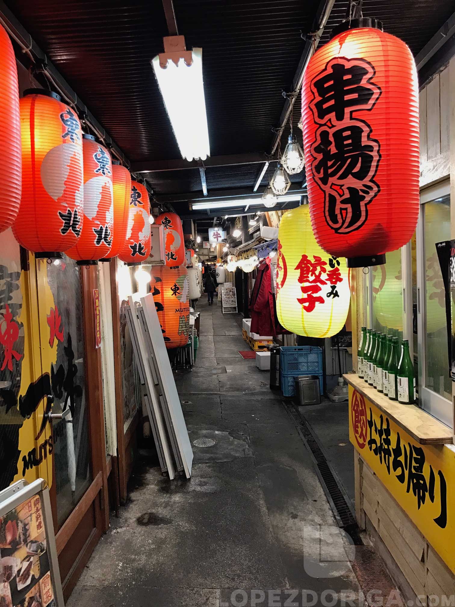 El frío de Japón no solamente es en el invierno - tokio5-1