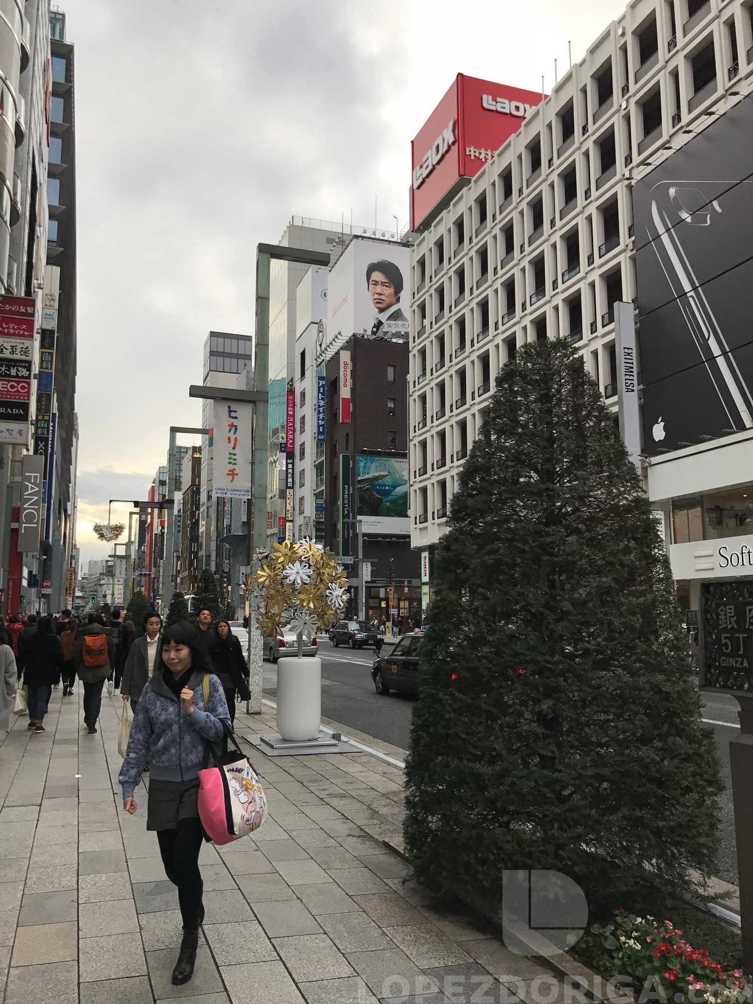 El frío de Japón no solamente es en el invierno - tokio7-1