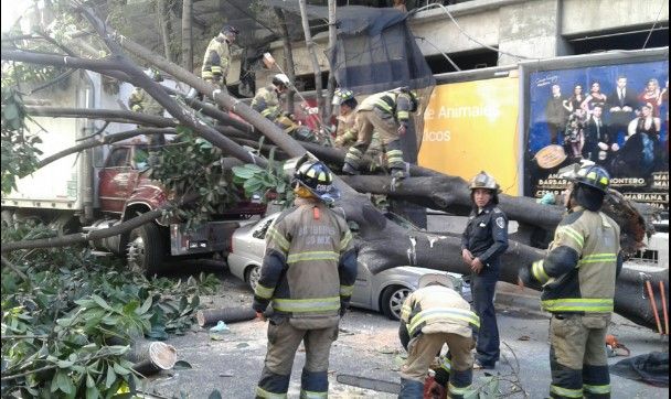 Cae árbol y lesiona a bombero en la Del Valle