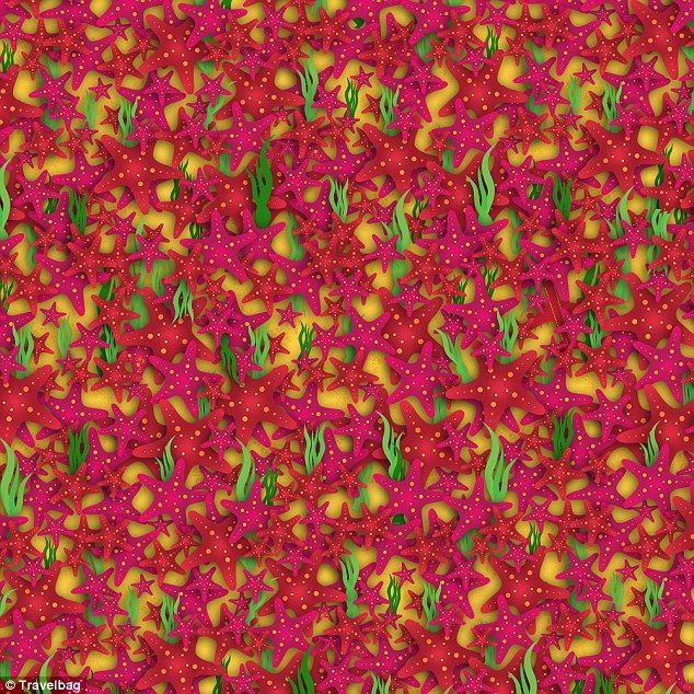 ¿Puedes encontrar al trébol de cuatro hojas? - 3A7012C200000578-3941354-image-a-1_1479295209866