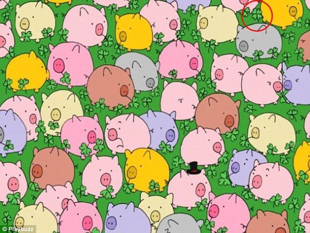 ¿Puedes encontrar al trébol de cuatro hojas? - 3C24F52F00000578-0-image-a-10_1484475071261