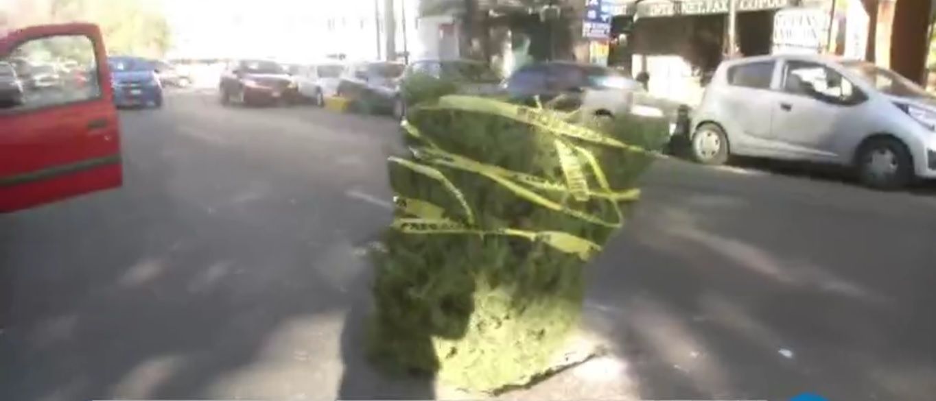Con árbol de Navidad tapan bache en la colonia Doctores