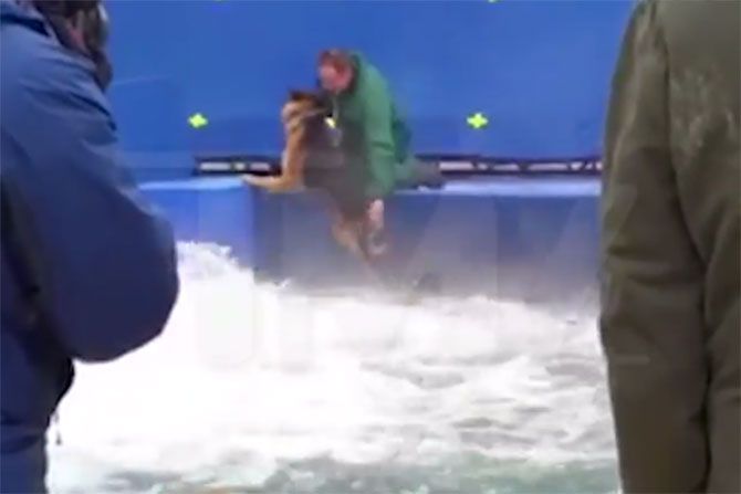 Cancelan premiere de "A Dog’s Purpose" por maltrato animal - a-dogs-purpose-2