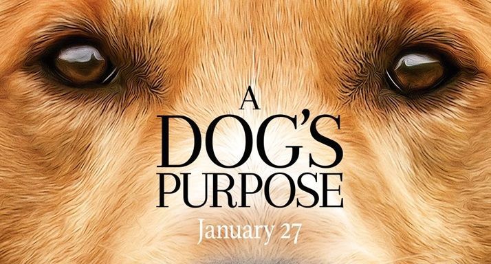 Cancelan premiere de “A Dog’s Purpose” por maltrato animal