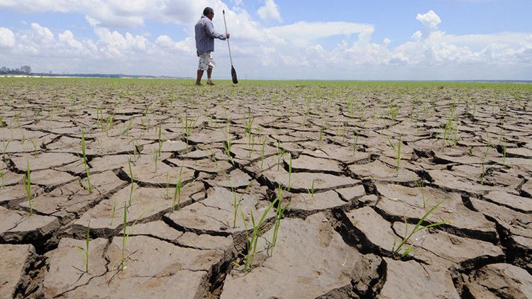 Carreras universitarias que nacerán en los próximo años - agricultor