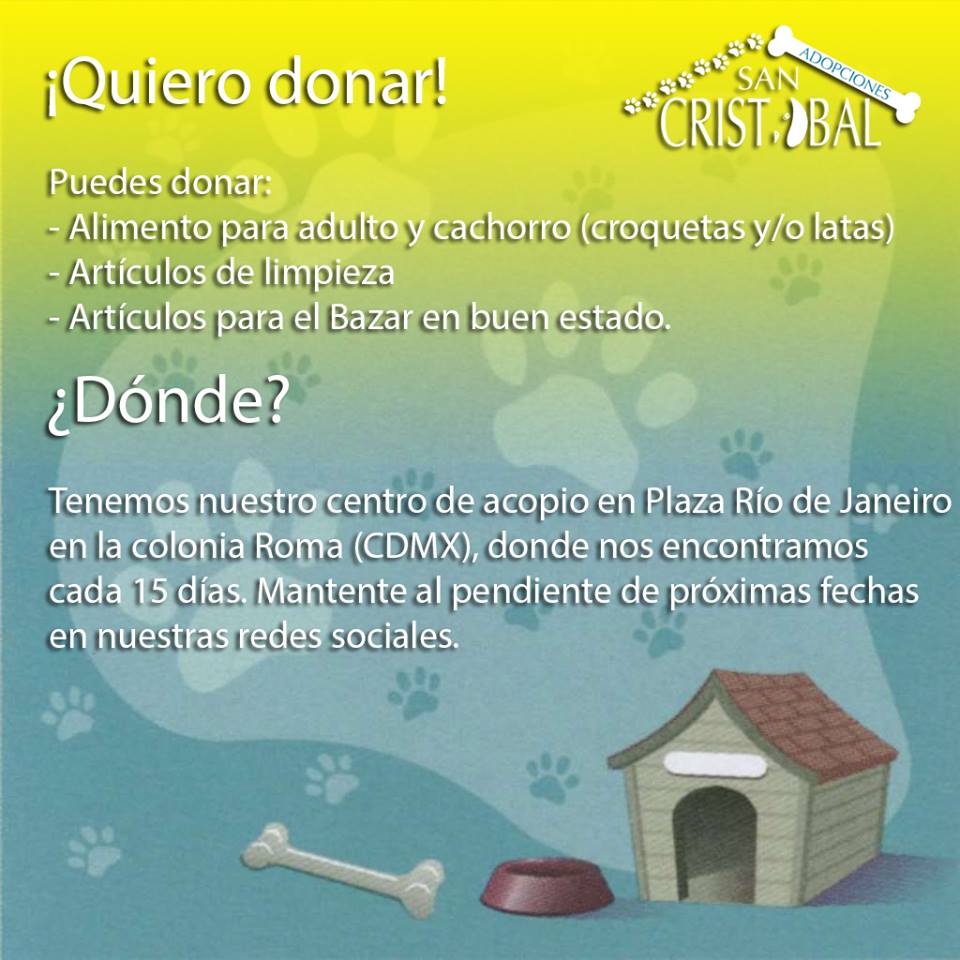 ¿Cómo adoptar un perro en la Ciudad de México? - albergue-perros-1