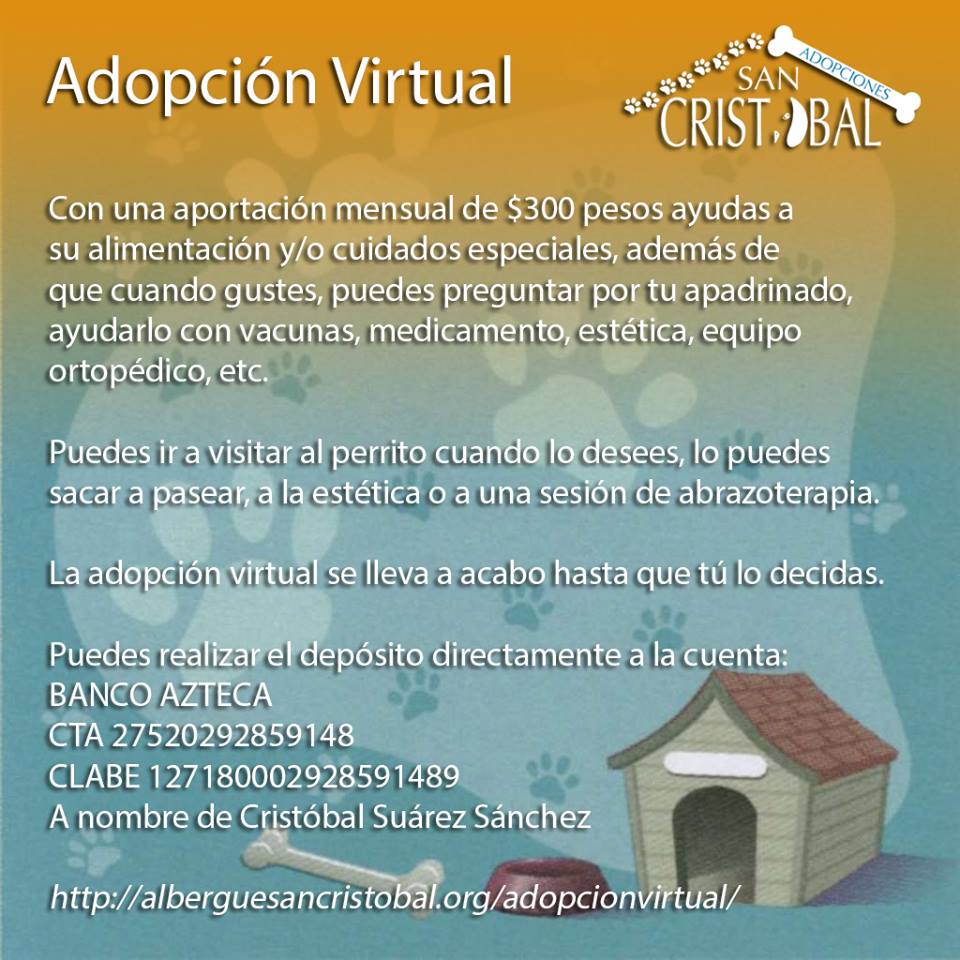 ¿Cómo adoptar un perro en la Ciudad de México? - albergue-perros-3