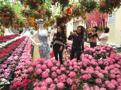 Tradiciones para recibir el Año Nuevo chino - año-nuevo-flores