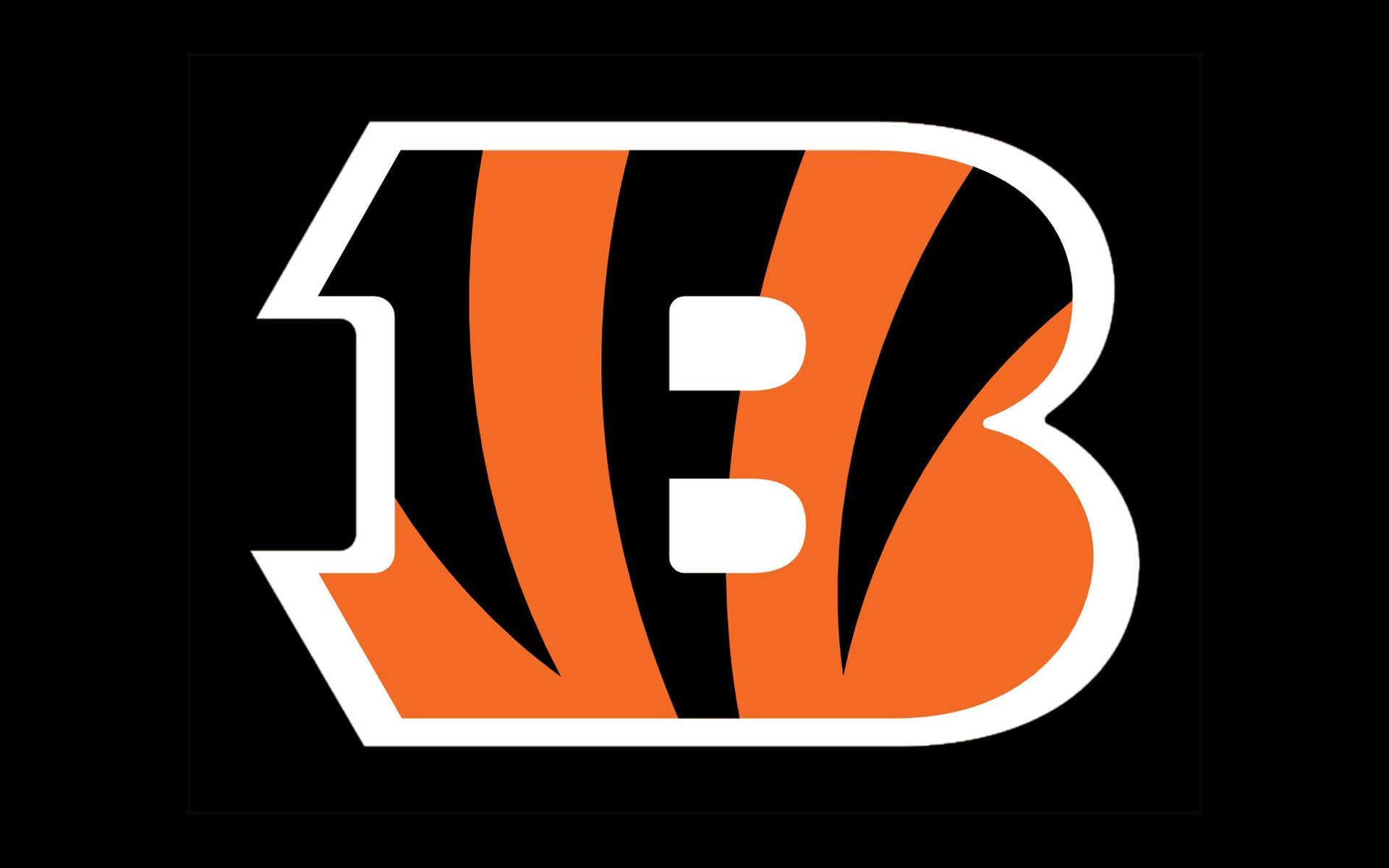Equipos que nunca han ganado un Super Bowl - bengals