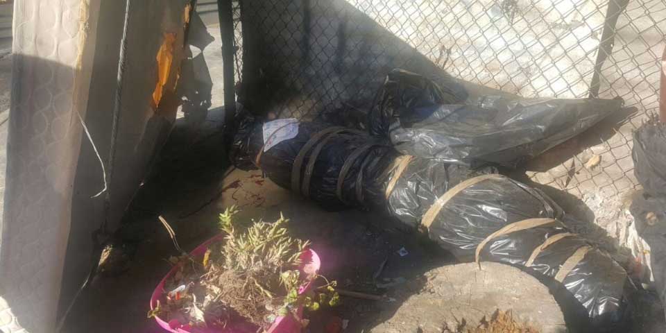 Confunden árbol de Navidad con cuerpo en Iztapalapa