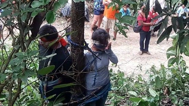 Linchan a familia atándola a árbol con hormigas venenosas