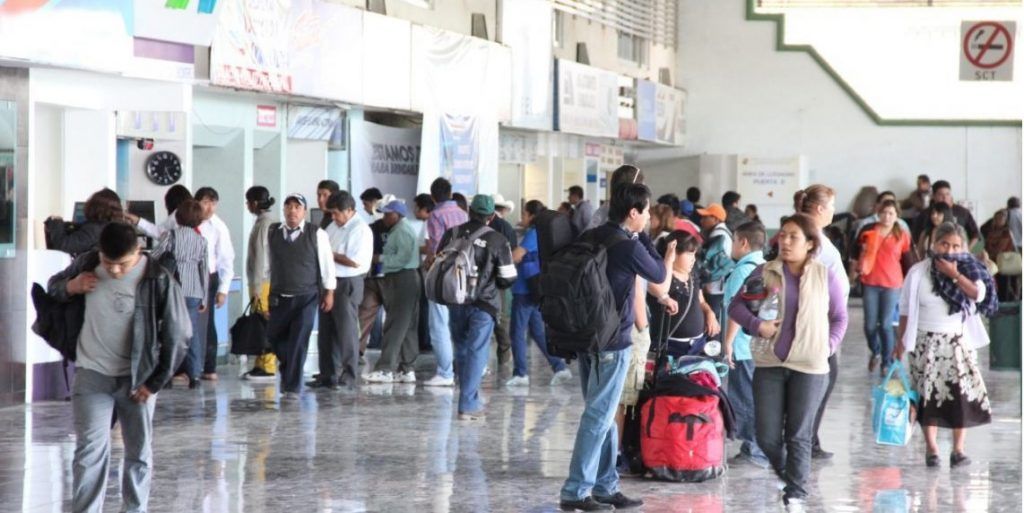 Aseguran 500 kilos de droga en Central de Autobuses del Norte - central-de-autobuses-1-1024x513