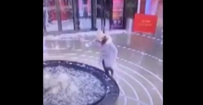 Video: mujer cae a fuente por no dejar de ver su smartphone