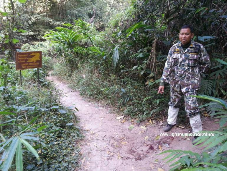 Cocodrilo muerde a turista francesa que intentaba tomar una selfie - cocodrilo-II