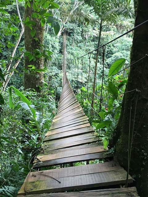 Mueren siete personas tras voltearse puente colgante en Colombia - colombia-puente-colgante-1