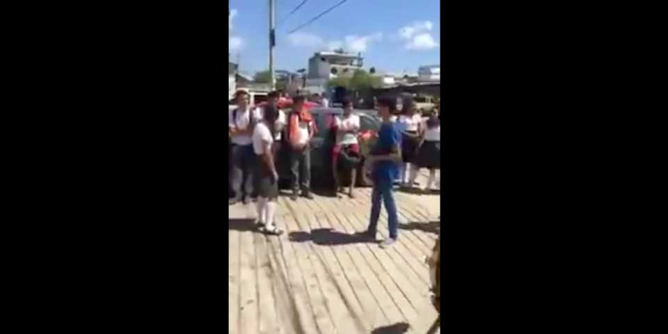 Video: la declaración de amor que se volvió viral