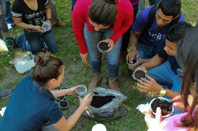 Estadounidense busca apoyar a la ecología mexicana