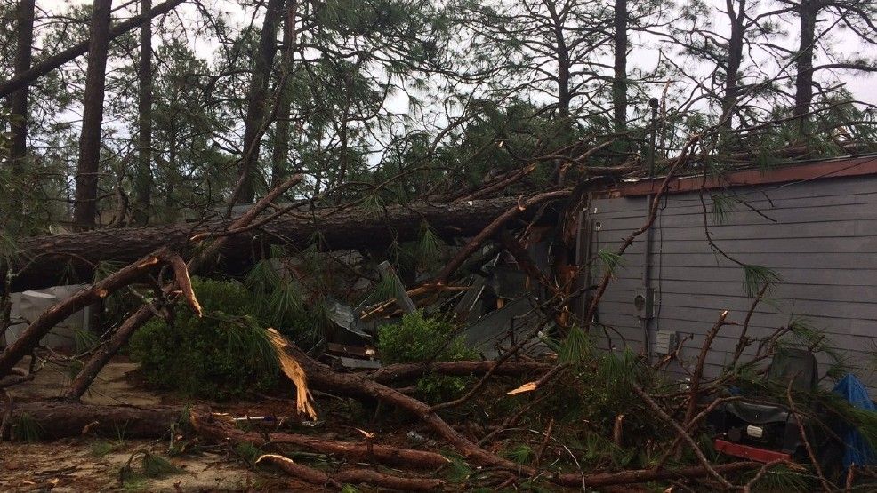 Tormentas y tornados en Georgia dejan 11 muertos y 23 heridos - georgia