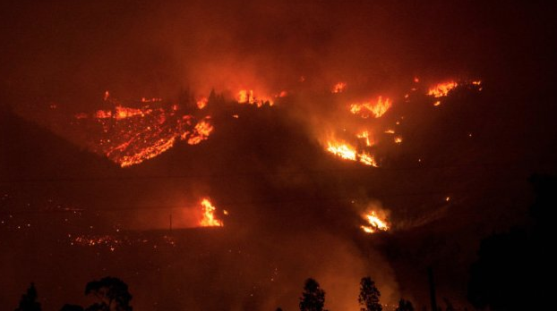 Catástrofe en Chile por incendios forestales - incendio-chile