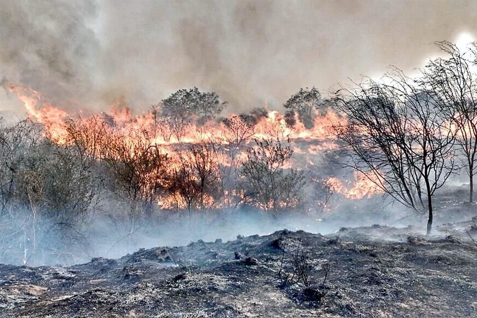 Fuertes vientos causan incendios y apagones en Nuevo León - incendios-nl