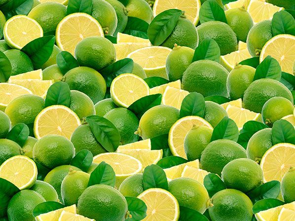 Productos en los que México es potencia - limon