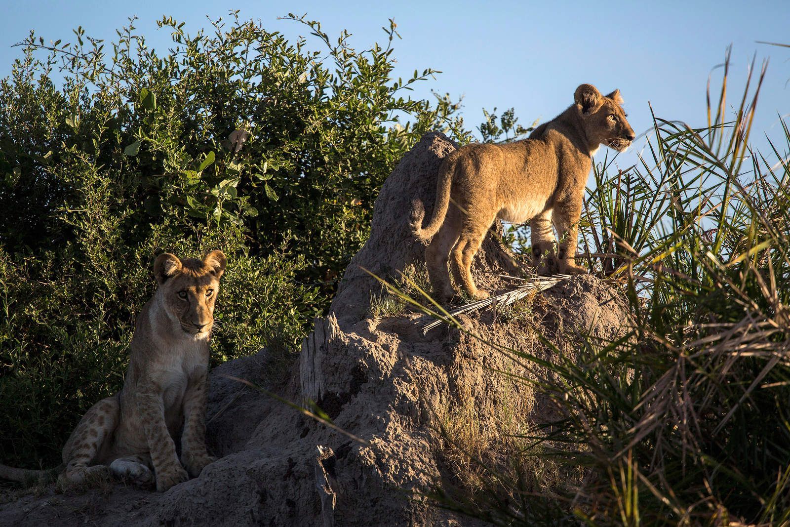 Los 10 lugares para visitar en el 2017 según el NYT - nyt3