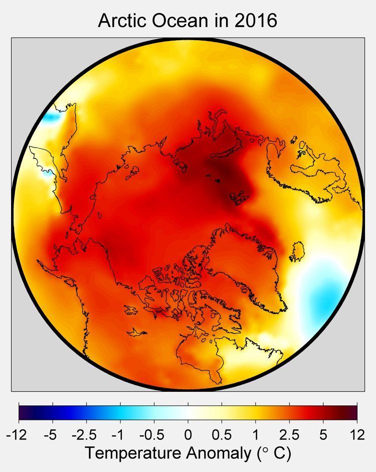 Temperaturas en 2016 fueron las más altas en 125 mil años - oceano-artico