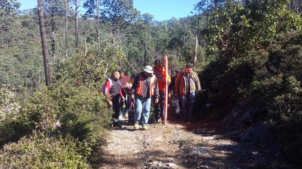 Rescatan a 16 jóvenes perdidos en bosque de Tamaulipas - perdidos-tamaulipas