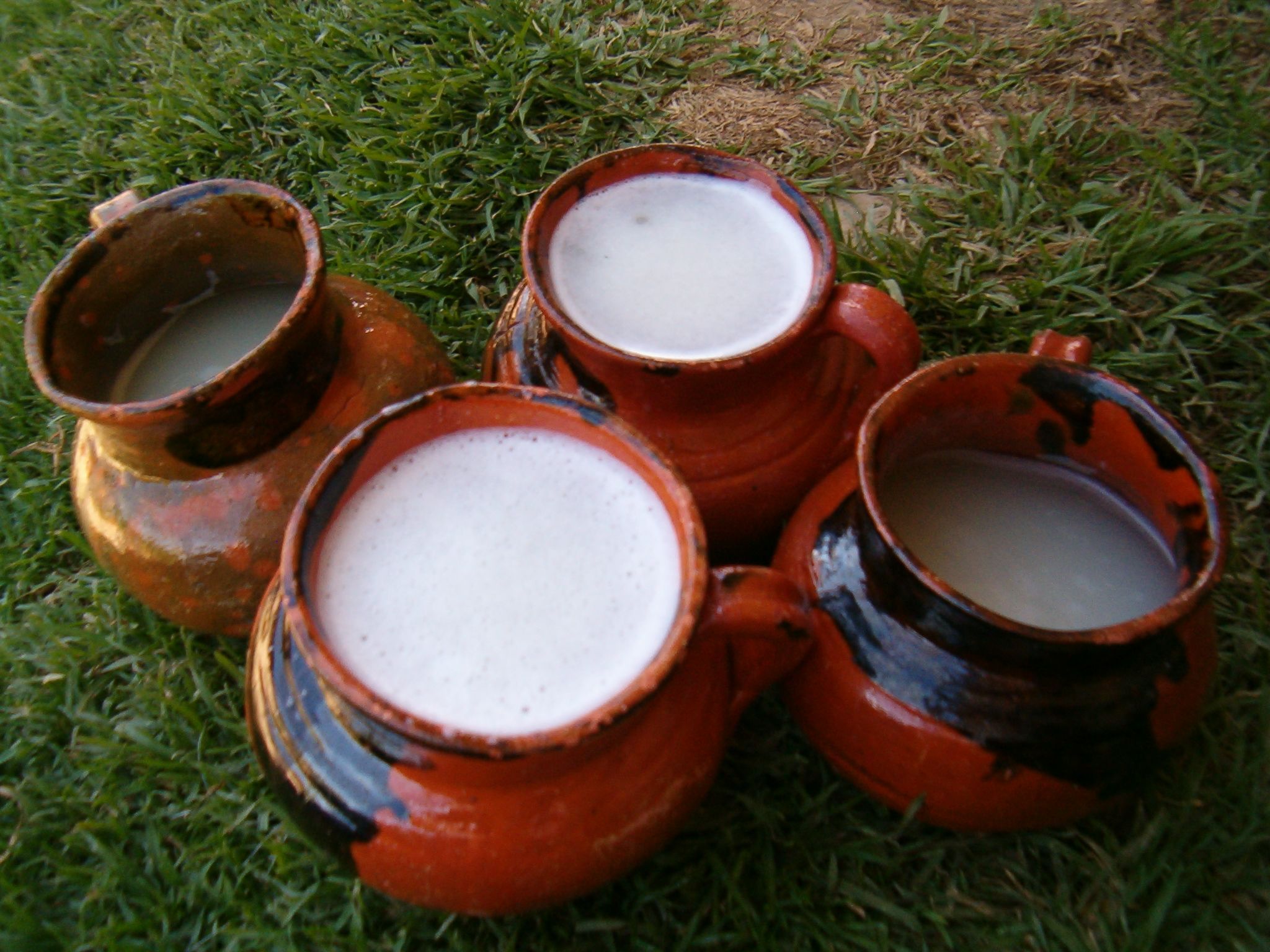 Beneficios del pulque en el aparato digestivo - pulque